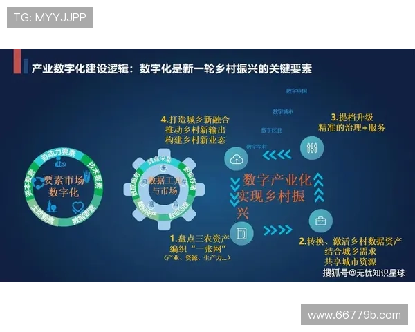 安乡直播:乡村振兴新画卷,数字赋能美好生活